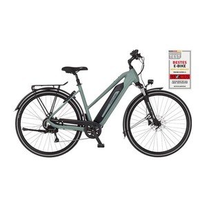 mountainbike e fahrrad Ecobike RX 500 Hardtail 2026 | Power E-MTB 130 Nm Zahlenschloss State Bicycle Co. City Wähle dein Motiv:Eichhörnchen