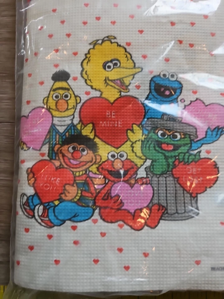 复古海滩芝麻街情人节纸桌布 54 英寸 x 96 英寸  — 第 2/4 张图片