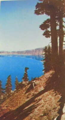 Color Accents Pine Silhouettes Cliffs Crater Lake OR  Vintage Postcard
