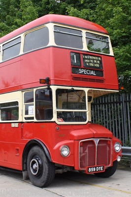 Reading Mainline 859 DYE Bus Photo