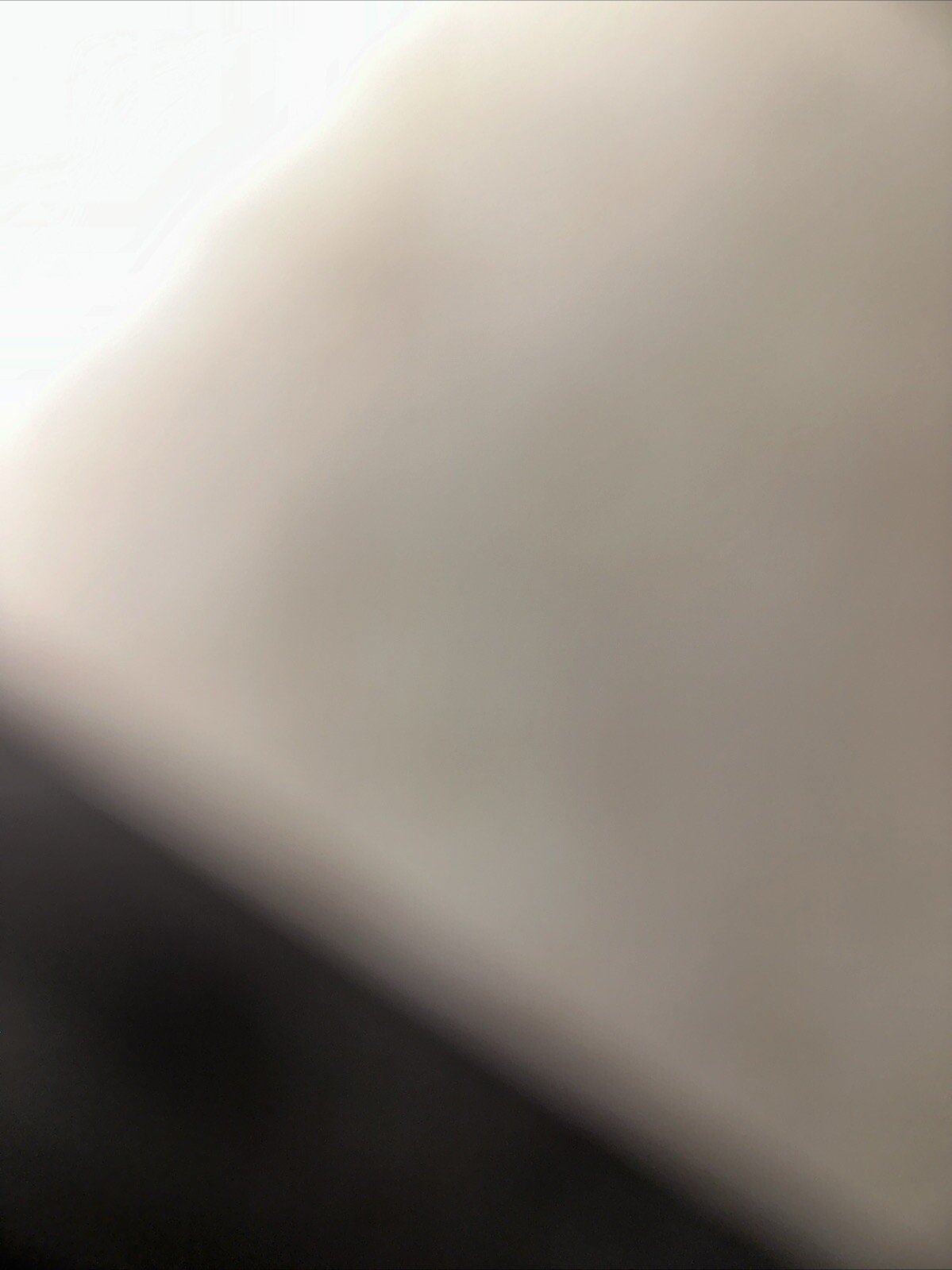 Bild 8 von 12