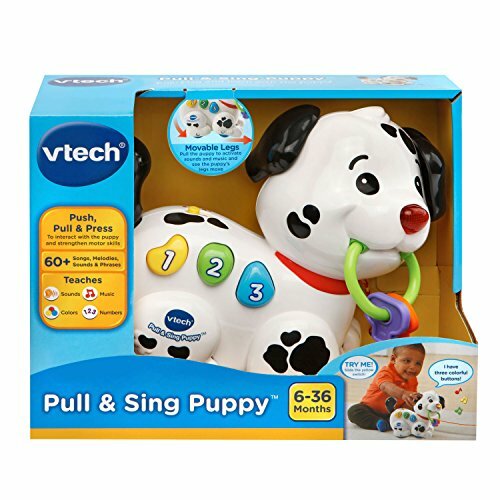 vtech puppy rattle