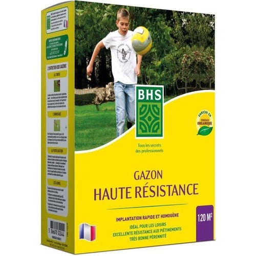 Graines BHS 3 Kg
