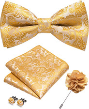 Paisley Pre-tied Bow Tie and Pocket Square Cufflinks Lapel Pin Sets for Men 4PCS