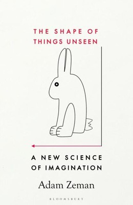 The Shape of Things Unseen von Adam Zeman 9781526609731 NEU