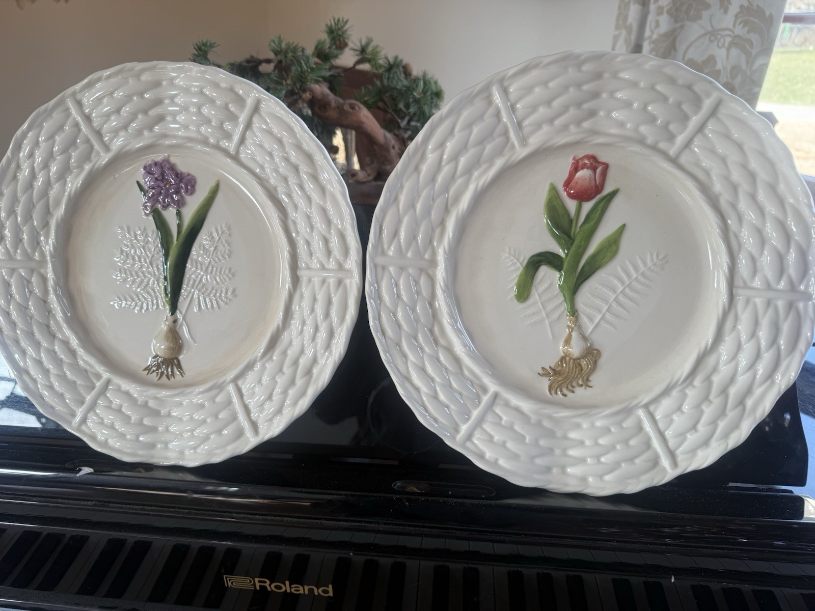 Vintage Set Of 2 World Market Flower Plates. Tulip Plate, Spring Bulb Plate.