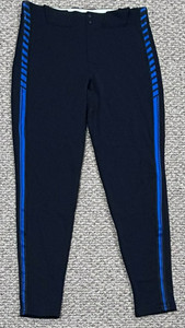 MEADOWS SIZE 36-40-34 2025 DETROIT TIGERS GAME PANTS ISSUE CITY CONNECT MLB NWOT