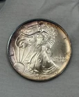 1995 American Silver Eagle ASE $1 Natural Album Rainbow Toning 1oz .999 GEM Coin