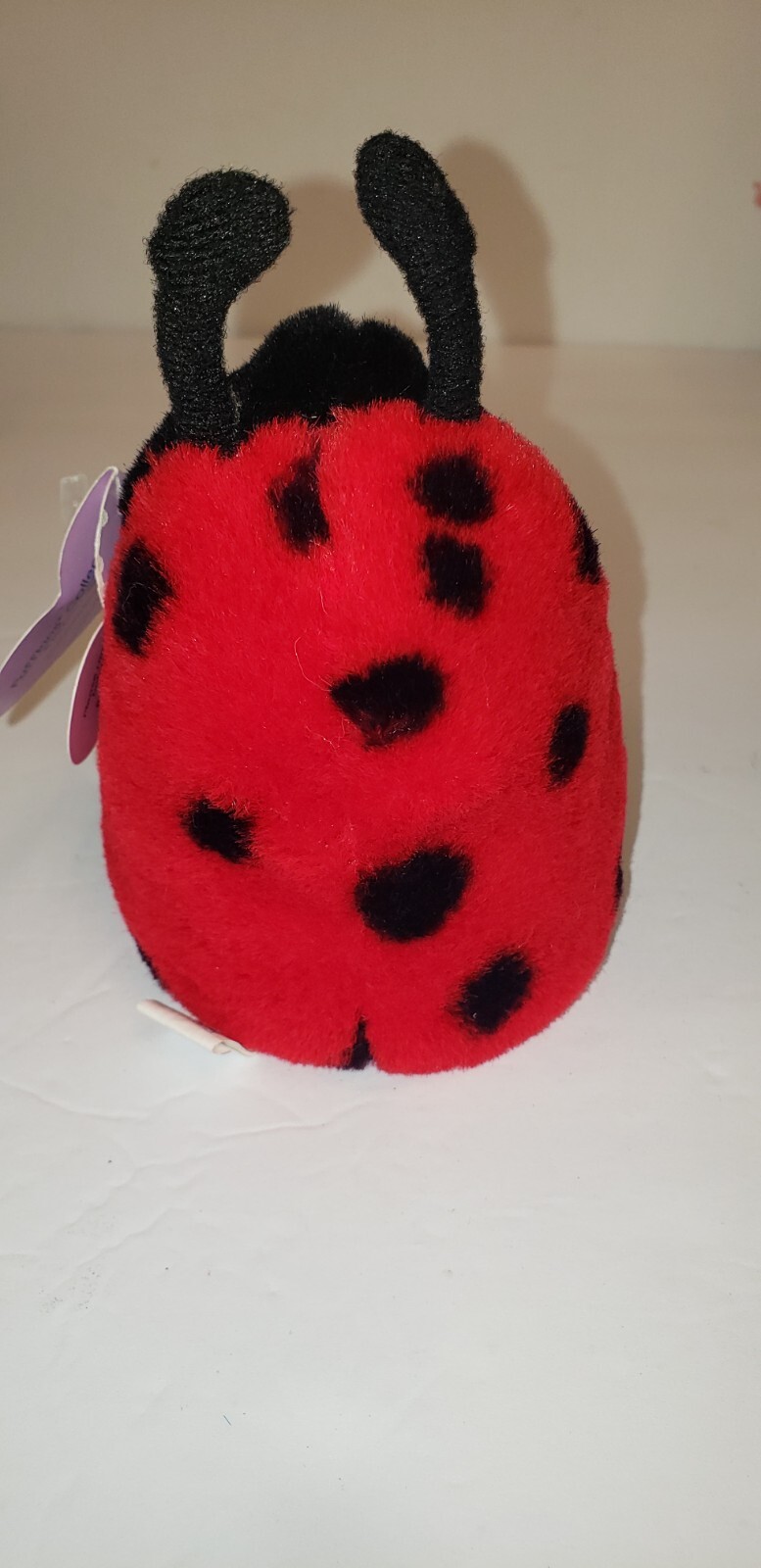 Picture 4 of 7