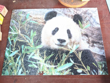 wildlife panda jigsaw 500 very rare good condition very hard with the jungle
