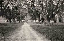 The Barracks, Port of Spain Trinidad W.I. c1900 RPPC Photo Postcard COPY