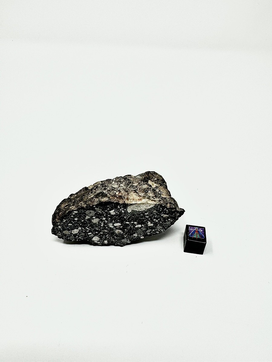 Huge 80.9 NWA 14685 Lunar Meteorite End Cut w/ Crust - From Huge 80.9 NWA 14685 Lunar Meteorite End Cut w/ Crust - From