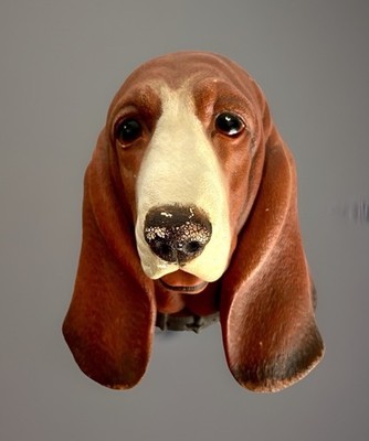 Vintage Bossons Basset hound Chalkware Wall Plaque/Sculpture ,4-1/2'' High