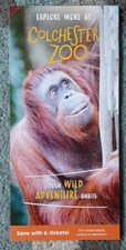 Colchester Zoo Foldout Flyer - Orangutan, Meerkat, Leopard, Giraffe, Penguin