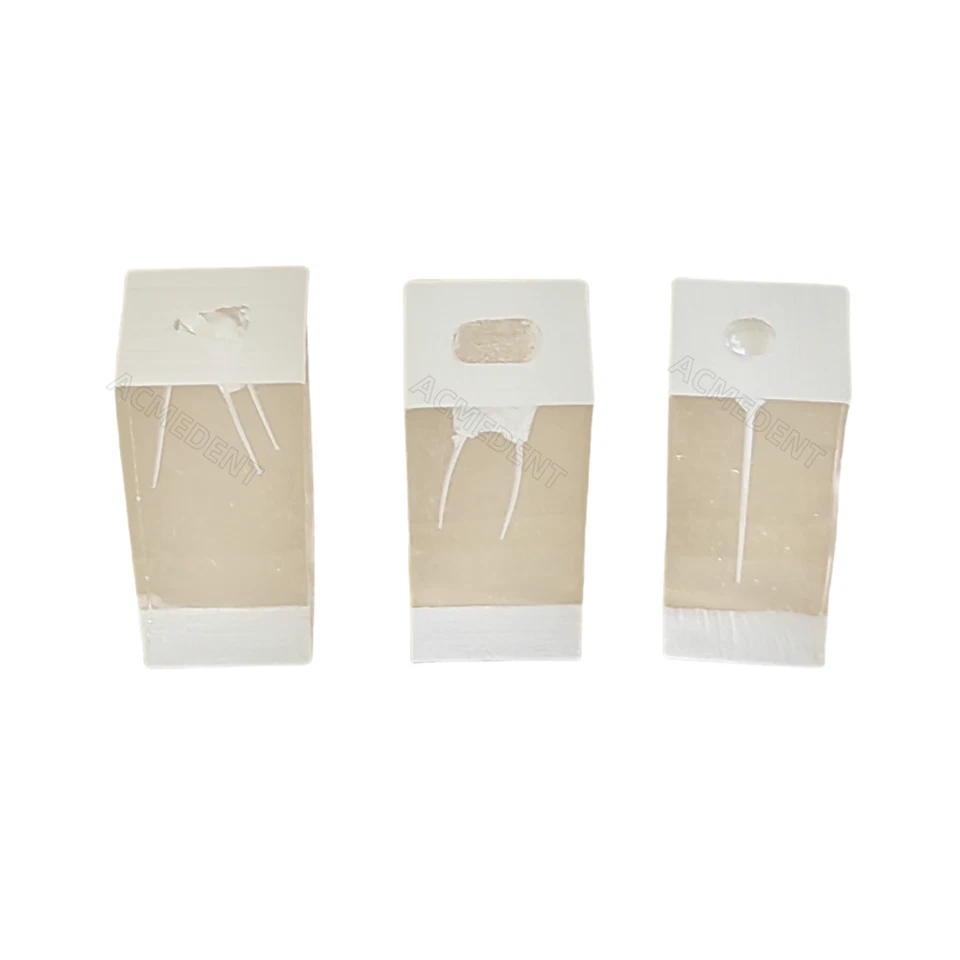 RCTA MTA Dental Bloques Archivos Modelo de Práctica Dientes Canal Raíz Pulpa Réplica Endo Foto 3 de 4