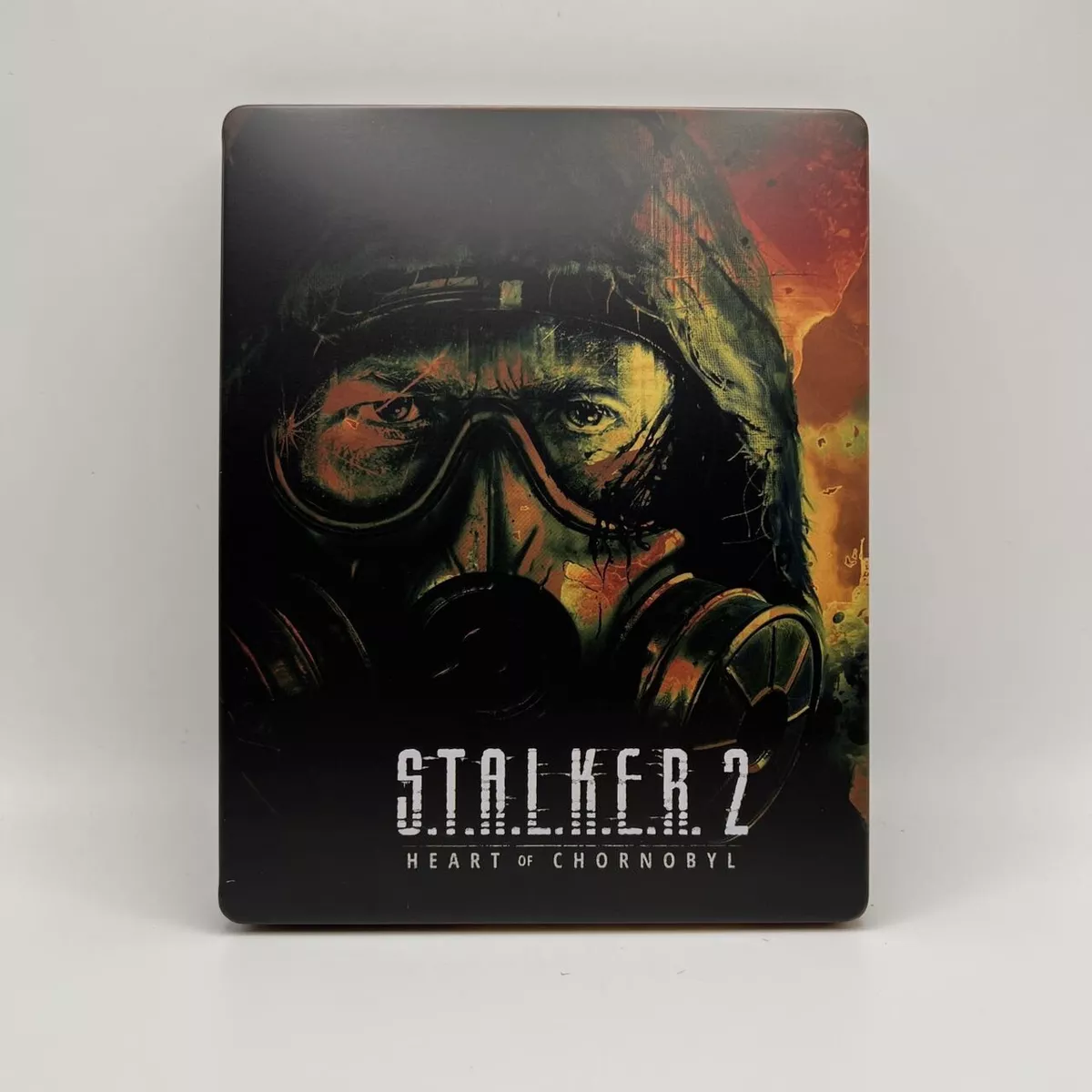 Stalker 2 Custom Made Steelbook Case for PS4 PS5 Xbox Case Only