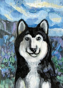 original siberian husky