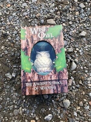 WISE OWL: ANCIENT SYMBOL OF WISDOM By Ross Berger In Original Retail Box Only