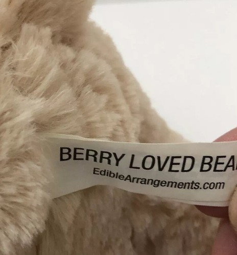 Edible Arrangements Sitting Berry Loved Bear Teddy Plush Toy 9" - Picture 9 of 10