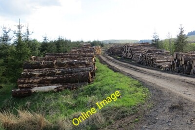 Photo 6x4 Timber stacks, Carron Valley Forest High Banton  c2013