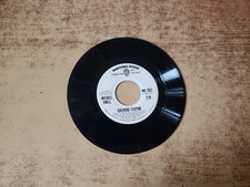 RARE psych-funk 1970s VG+ PROMO Michael Small Forty Lost Brick Blues/RAILROAD 45