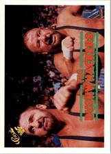 1990 Classic WWF #132 Bushwhackers - WWE