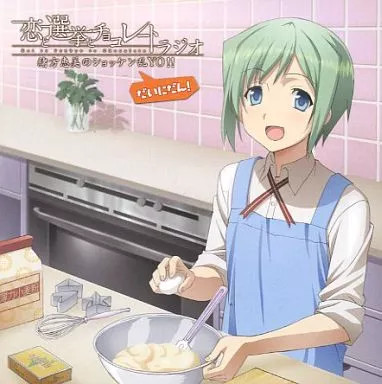 Love Election and Chocolate Anime Radio CD Emi Ogata collectible music disk