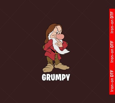 Seven 7 Dwarfs Snow White Happy Book Day Costume DTF Iron On Heat Transfer Funny