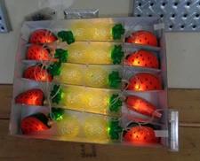  Tropical Watermelon & Pineapple 10 Light String Light Set Battery Operated