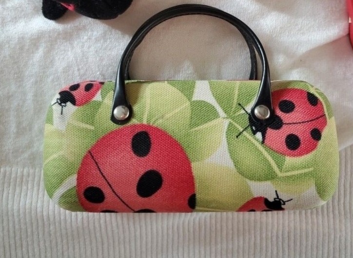 Ladybug Eyeglass Case Sax Looks Like A Purse eBay
