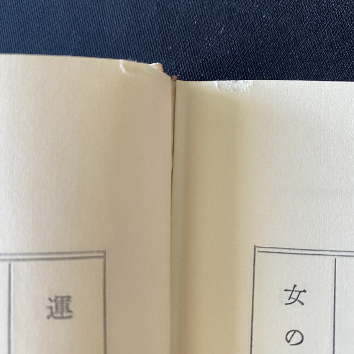 Yukio Mishima Kyoko no Ie 2 Japanese Literature Case Vintage