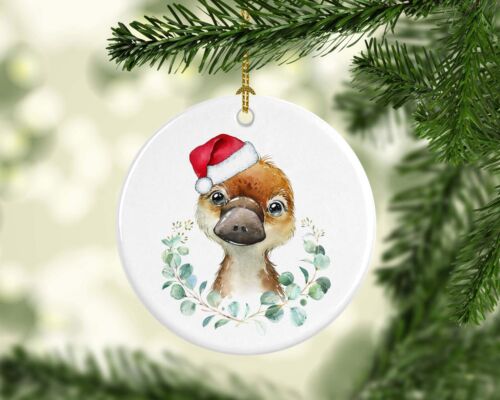Australian Animal Platypus Ceramic Christmas Tree Hanging Ornament Free Gift Box - Picture 1 of 2