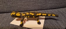 STEIFF Märklin SALAMANDER und  H0 Güterwagen- limitierte Auflage