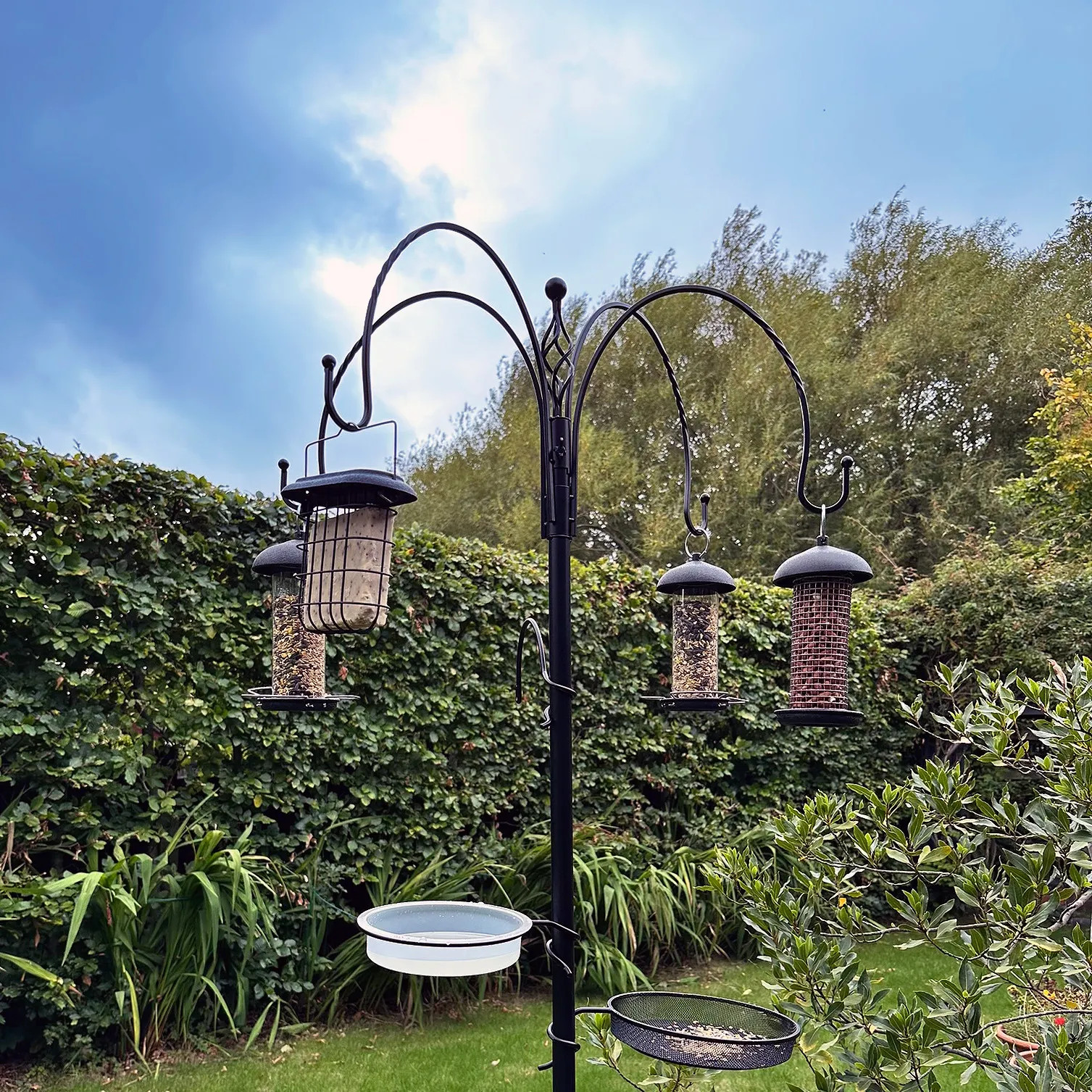 Complete Wild Bird Feeding Station with 4 Feeders, Water Dish and Feeding Tray