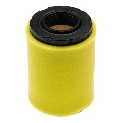 2 Filter Set für Briggs & Stratton 797704 796031 590825 594201 MIU13038 591334