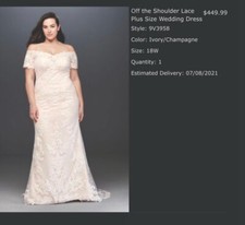 Off the Shoulder Lace Plus Size Wedding Dress. Used, has not been dry cleaned.