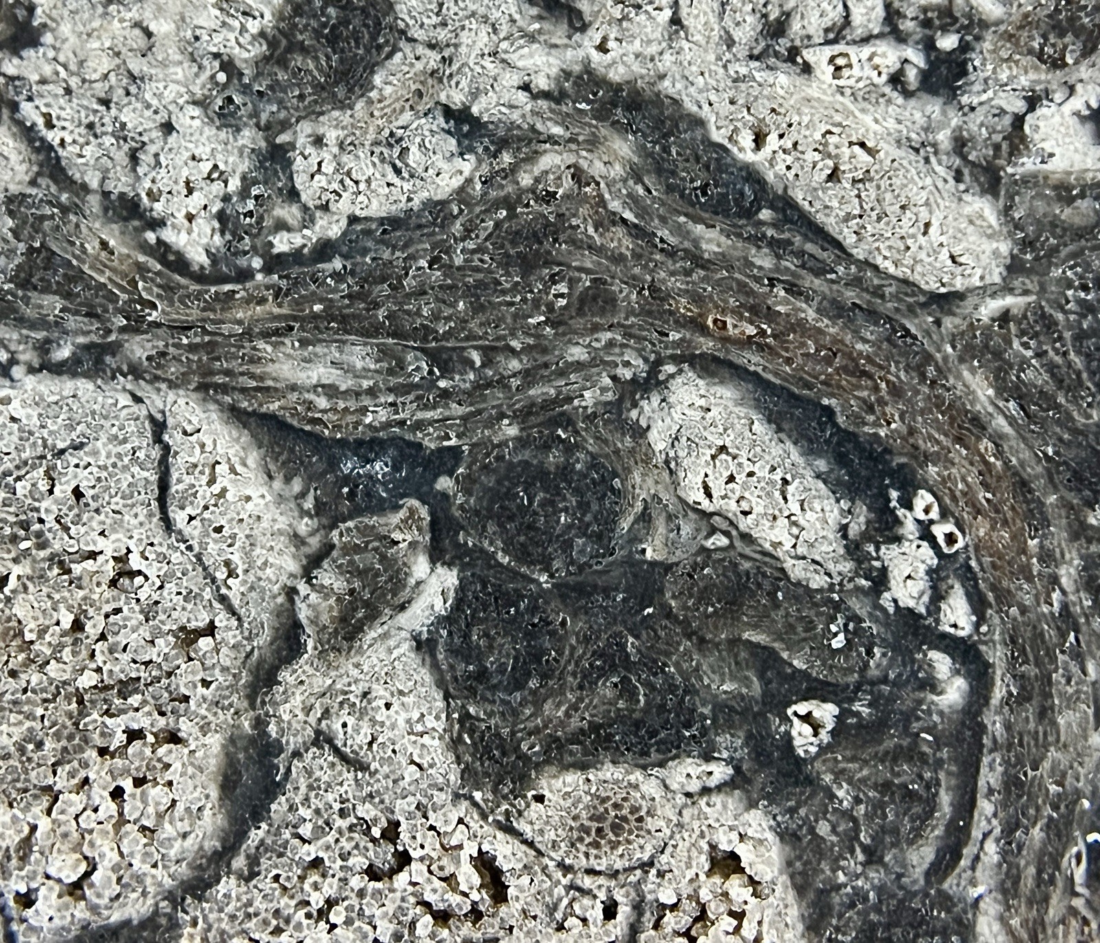 Picture 8 of 11