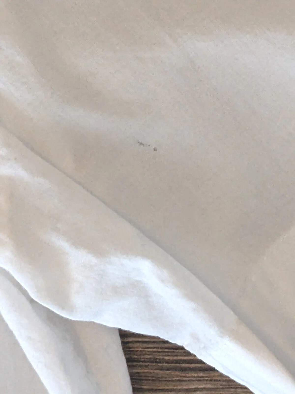 James Perse Standard Hotel California Mens SS White B… Gem