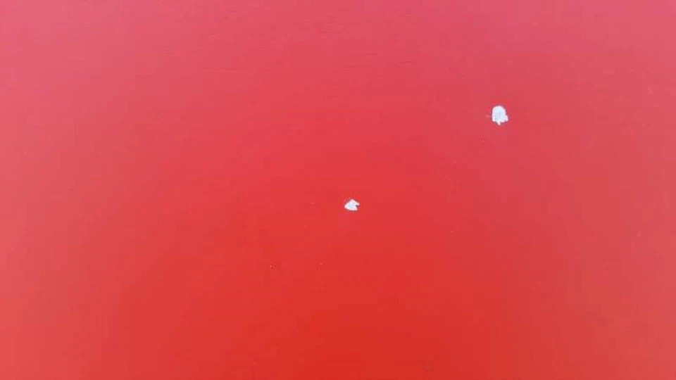 K96191850A Haube Für DAEWOO NEXIA GL 1995 1215428 - Bild 2 von 4