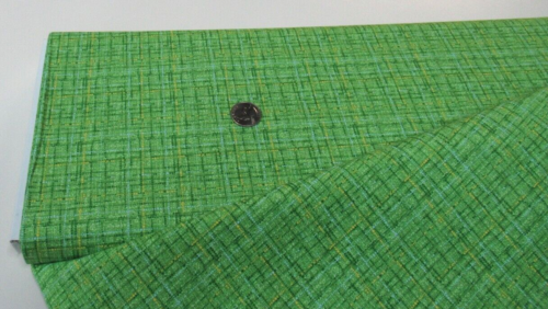 Michael Miller quilt-craft fabric COCO COUTURE pistachio 2 yds (cx-9316) Blender - Picture 1 of 1