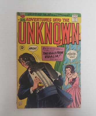 ADVENTURES INTO THE UNKNOWN #169 ACG Comics 1966 SA Horror Sci-Fi