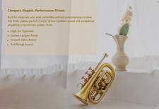 POCKET TRUMPET Bb BRASS W/FREE-HARD CASE AND MOUTHPIECE.