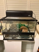 EXO Terra 30x45x45cm All Glass Terrarium - Clear