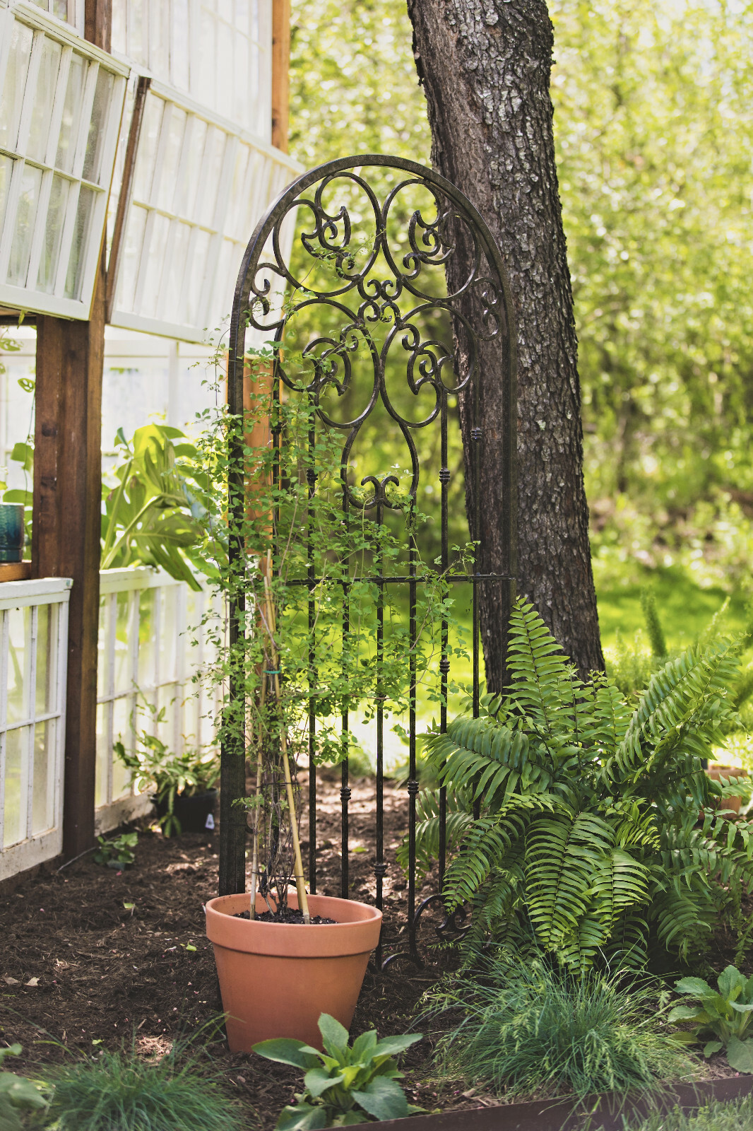 ebay yard garden outdoor living on Gar545 H Potter Garden Trellis Wrought Iron Heavy Scroll Metal Decoration For Sale Online Ebay