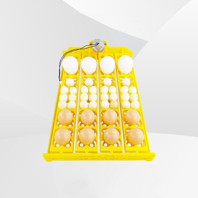 Mini Incubator Hatcher Plastic Automatic Chicken Egg Tray Incubator Hatcher  _r1