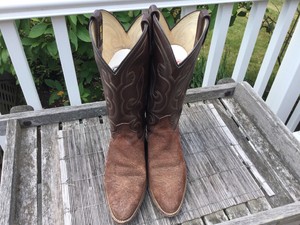 dan post buffalo boots