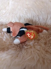 Chip The Cat Beanie Baby Errors Rare