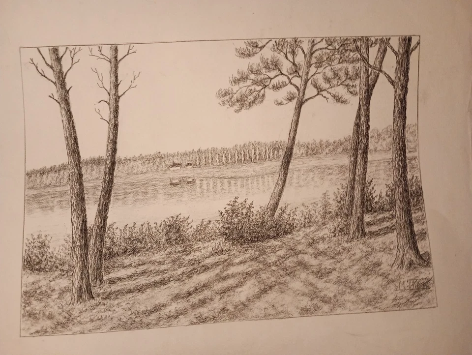 Dessin original L'étang Blanc Seignosse Landes - Photo 2/4