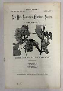 EUROPEAN GRAPES SUCCEED IN NEW YORK-Bulletin 432-April 1917-Geneva N. Y.