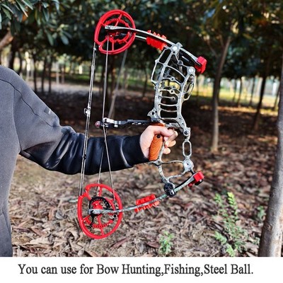 Arc à Poulies AMEYXGS 30-70 Lbs - Ambidextre, 420 FPS - Pour Chasse Et Cible